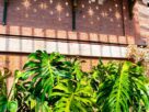 Jardim de inverno interno com estrutura de vidro e alumínio, cheio de plantas tropicais e iluminação natural indireta