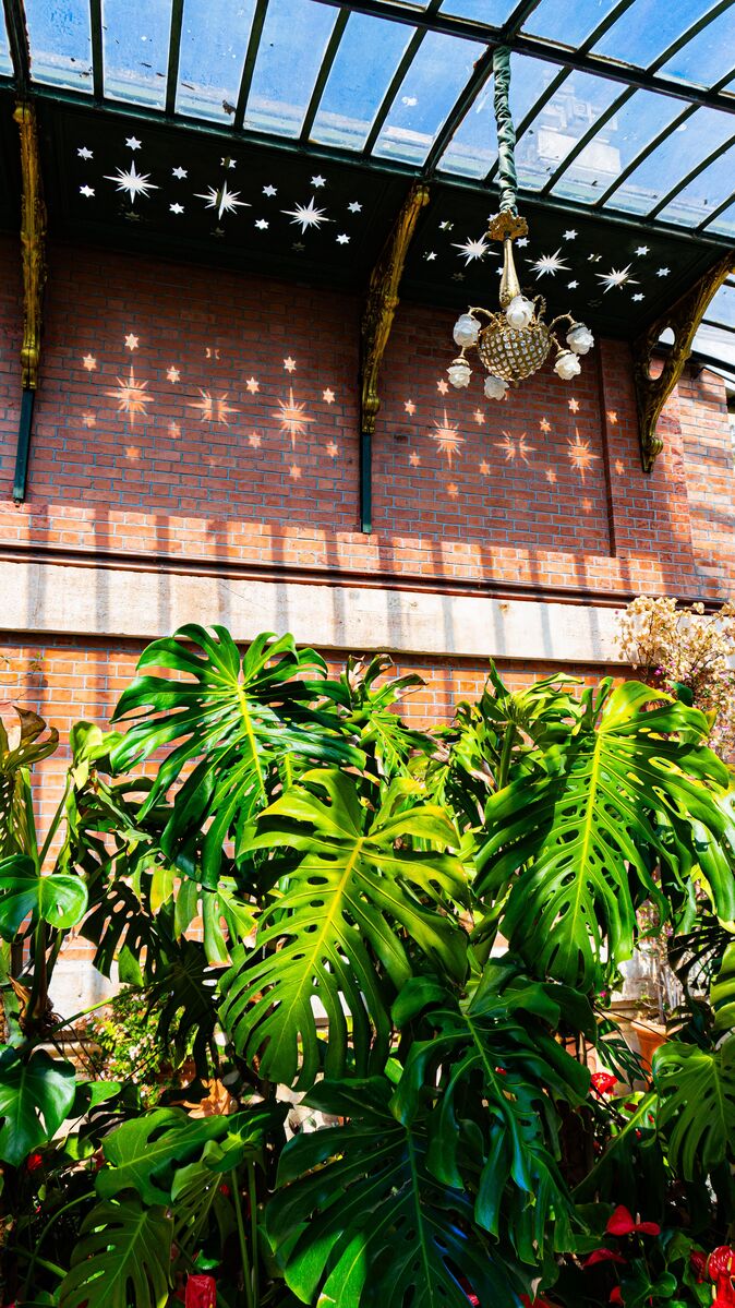 Jardim de inverno interno com estrutura de vidro e alumínio, cheio de plantas tropicais e iluminação natural indireta