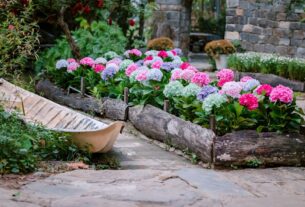canteiro de flores colorido em jardim residencial com bordadura de pedras e flores de diferentes alturas