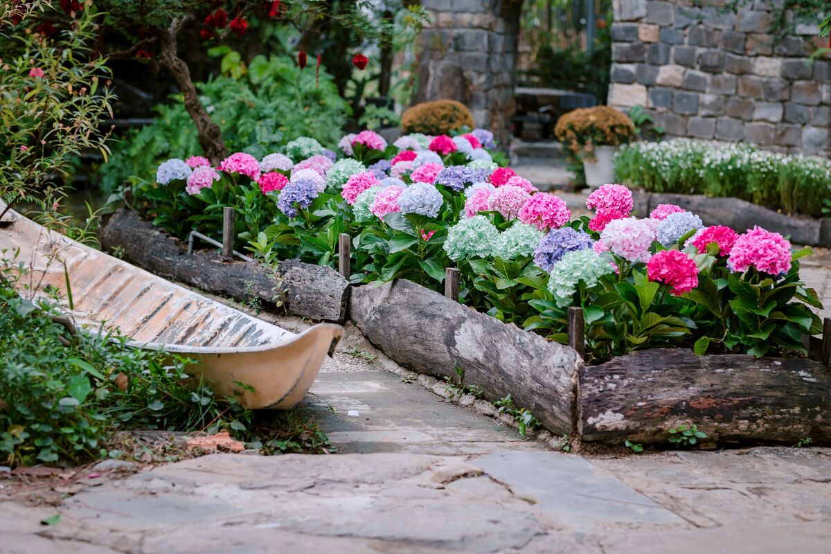 canteiro de flores colorido em jardim residencial com bordadura de pedras e flores de diferentes alturas