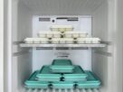freezer organizado com caixas etiquetadas separando carnes vegetais e sobremesas por categoria