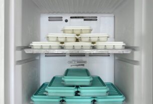 freezer organizado com caixas etiquetadas separando carnes vegetais e sobremesas por categoria