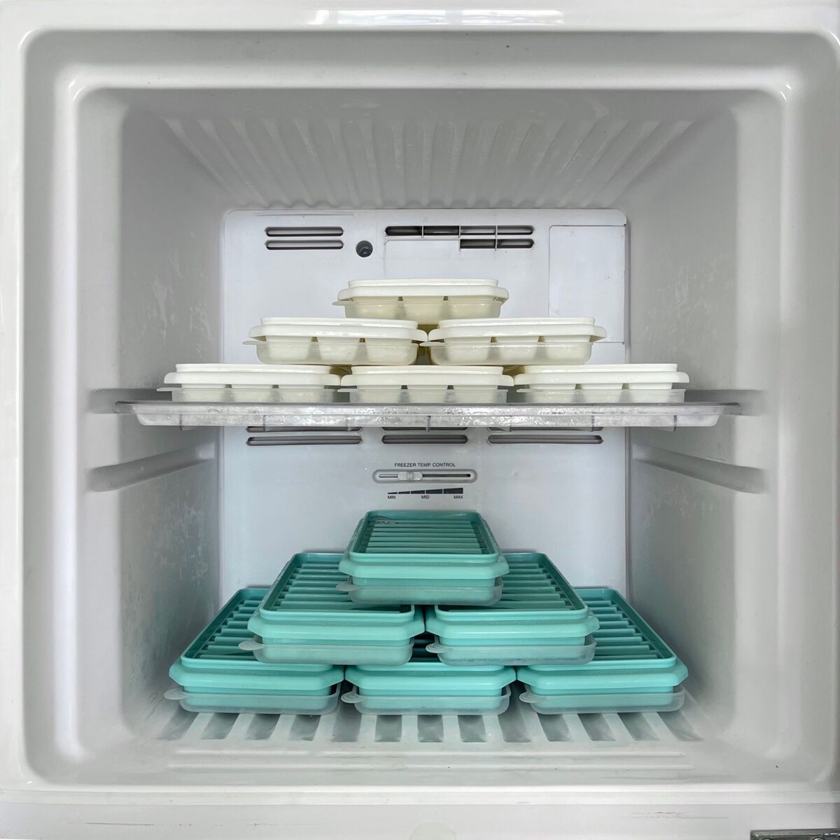 freezer organizado com caixas etiquetadas separando carnes vegetais e sobremesas por categoria