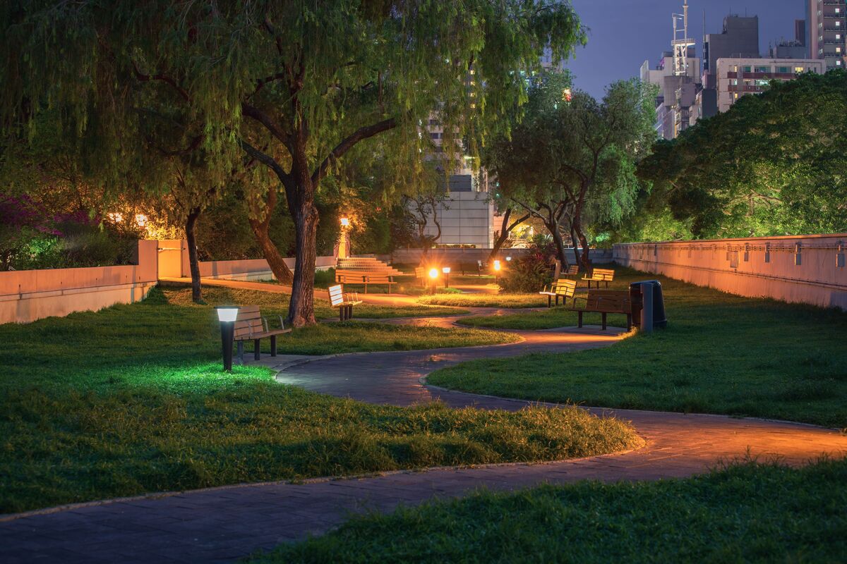 jardim iluminado noite externo