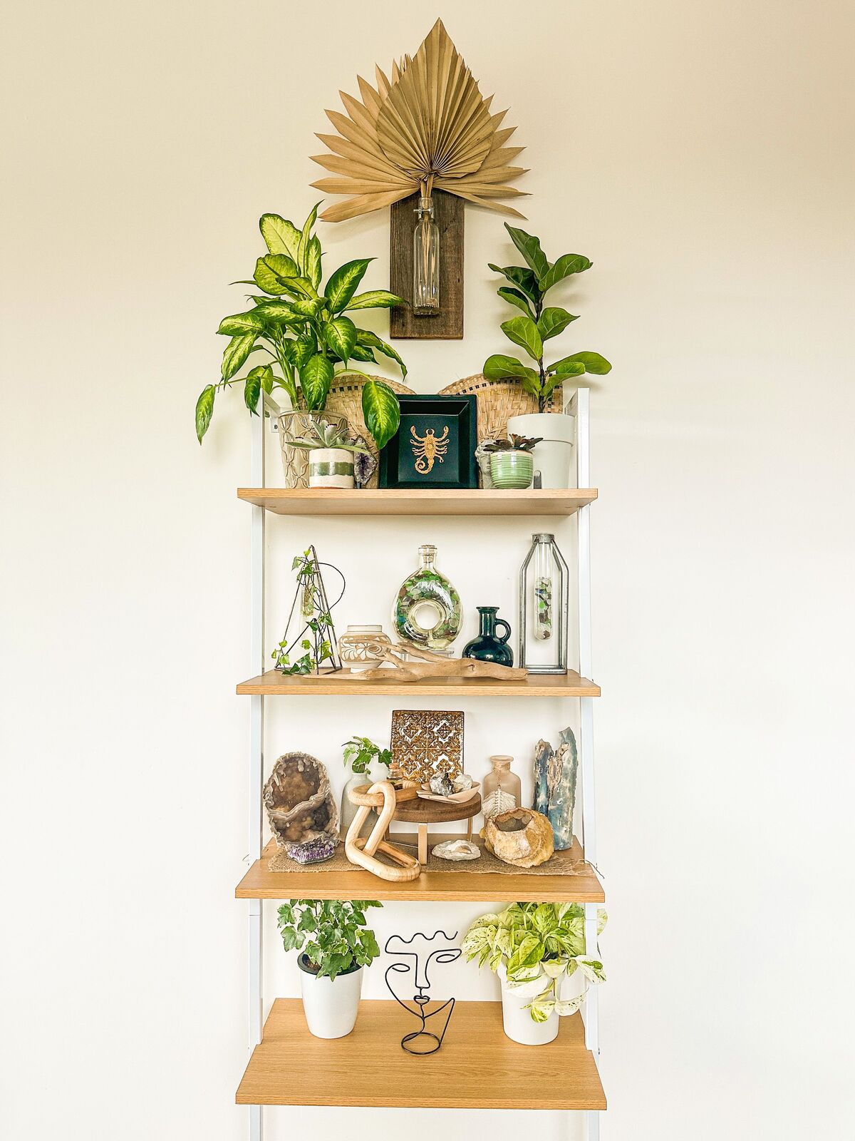 prateleiras flutuantes na sala organizadas com livros por cor plantas e objetos decorativos
